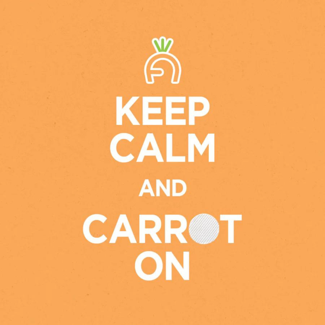 Skinfood Carrot Carotene Calming Water Pad